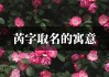 梓芮名字吉凶查询，名字学中的与意义