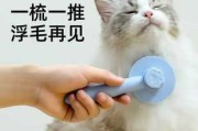 猫刮梳子，吉凶的神秘方法