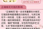 桃花命运，吉凶打分全解析