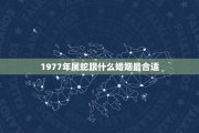 1978年生肖马运势，机遇与的平衡点