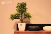 布置，摆放哪些物品能带来与和谐