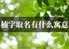 艺楠这个名字，寓意美好，寓意深远