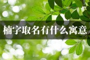 艺楠这个名字，寓意美好，寓意深远
