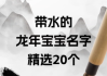 焦姓龙宝宝取名攻略，传承文化，寓意美好