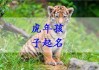 温姓宝宝取名，水虎寓意下的名字选择与文化寓意
