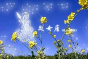 十二星座的未果之恋，一场关于口味与星座的奇遇