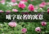 王梓曦名字的吉凶解析，寓意与意义
