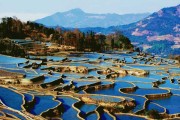 云南寺庙求签攻略图文