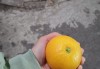 长期干旱终迎甘露 逆境深处自有生机