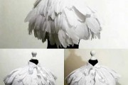 如何选择适合的羽毛装饰，提升家中运势