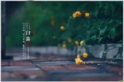 白露将至，生肖运势解析，机遇与并存