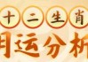 星座运势，生肖兔运势解析