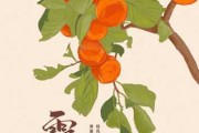 霜降时节的女宝宝取名灵感