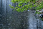 雨霆有aus,龙宝宝取名背后的深意 雨霆有aus,龙宝宝取名背后的深意