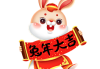 正月兔宝宝出生取名指南，新年的祝福与期待