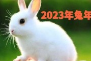 2020年6月生肖兔运势解析，兔年运程如何？