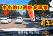 路口遇白猫，预兆与解梦的深层解析
