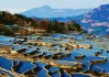 云南寺庙求签攻略图文