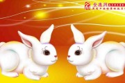 生肖属兔运势详解，每月运程指引幸福人生路