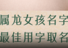 揭秘赵龙名字属性，深度解析吉凶与命运影响
