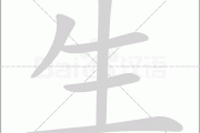 生陈八字测算，八字命理中的生克与陈化解析