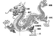 龙宝宝取名攻略，如何为您的龙宝宝取一个好听的名字