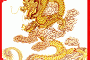 龙年宝宝取名指南，申姓宝宝的特色与选择