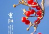 2018年九月初九重节吉时，传承与感恩