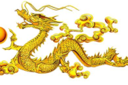 属龙者，运势解析与生活智慧
