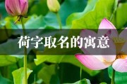有莲字名字吉凶，解析名字背后的文化与意义