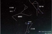 十二星座与小型犬，最佳搭配指南