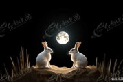夜晚见野兔，预兆与解梦探索