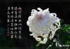 菊花算命，解读古老的文化符号