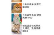 周公解梦，梦到猫淌血的含析