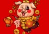 生肖猪如何增强事业运势，五大秘诀助你职场腾飞