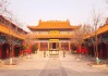 金泉寺求签，禅意与自然的融合