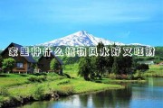 竹最吉利最旺财
