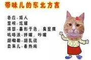 猫咪算命，东北方言中的神秘解读，你知道它怎么叫吗？