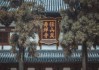 径山寺可求签？历史长河中的灵性对话