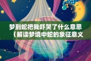 捉到红色的蛇,解读梦境中的危险与智慧 捉到红色的蛇,解读梦境中的危险与智慧