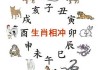 2024年8月24日生肖鸡运势解析，机遇与同在