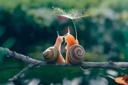 生命的意义不在长短 而在于创造