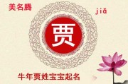 贾姓牛宝宝取名灵感