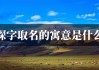 猴宝宝取名，用琛字起名的智慧与艺术