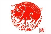 2023年生肖猪运势揭秘，背景下的运势指南解析