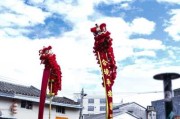 醒狮，揭秘传统习俗中的神秘讲究
