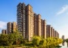 住房里出现蛇，预兆与解梦的深层解析
