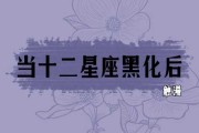 十二星座配什么扇子，优雅与个性的结合