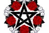 十二星座插花图案寓意，花中，each stars flower language
