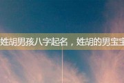 胡承男宝宝取名攻略，寓意美好，独具匠心